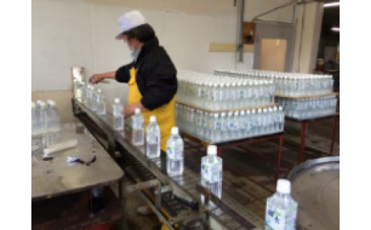 【全2回定期便】【5年保存水】北海道ミネラルウォーター カムイワッカ 麗水 2L×6本 | 水 ミネラルウォーター 5年 備蓄 軟水 [BPAI011]
