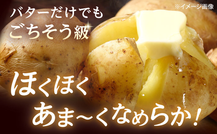 【2026年10月中旬以降順次発送】 じゃがいも 男爵（まっかりじゃが）10kg | じゃがいも ジャガイモ 男爵 男爵芋 野菜 北海道 産地直送 | 道の駅 真狩フラワーセンター [BPAM024]