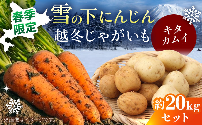 【2027年3月下旬以降順次発送】 雪の下にんじんと越冬じゃがいもセット 計20kg  (キタカムイ)  | 野菜セット 野菜 セット にんじん じゃがいも  |  道の駅 真狩フラワーセンター [BPAM033]