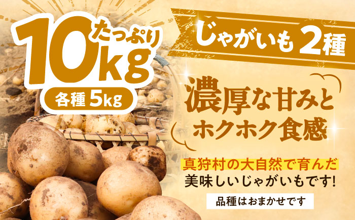 【2026年11月下旬以降発送】 秋の味覚セット（大）（じゃがいも10kg・旬の農産物詰め合わせ） | 野菜セット 野菜 じゃがいも 詰め合わせ 旬の野菜 セット 食べ比べ 北海道 | 道の駅 真狩フラワーセンター [BPAM004]