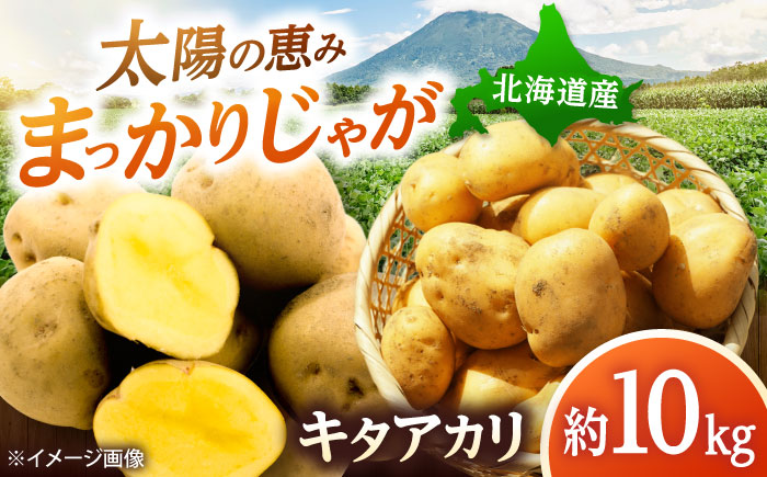 【2026年10月中旬以降順次発送】 じゃがいも キタアカリ （まっかりじゃが）10kg  |  じゃがいも キタアカリ 野菜 やさい 北海道 産地直送 |  道の駅 真狩フラワーセンター [BPAM025]