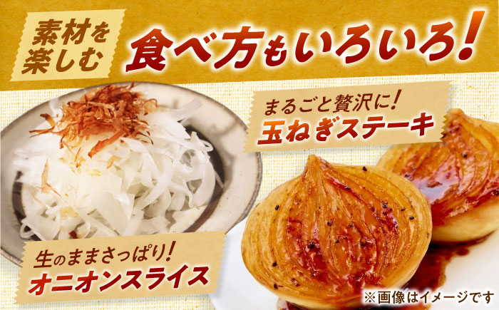 【2026年10月上旬以降順次発送】 玉ねぎ 10kg | 野菜 玉ネギ たまねぎ やさい 北海道 産地直送 先行予約 | 道の駅 真狩フラワーセンター [BPAM080]