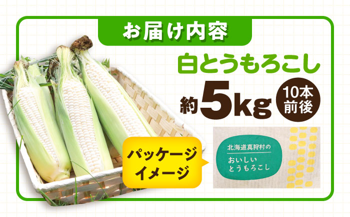 【2026年8月下旬以降順次発送】 とうもろこし 白（白）5kg  |  とうもろこし とうきび トウモロコシ コーン 野菜 やさい 北海道 産地直送 先行予約 | 道の駅 真狩フラワーセンター [BPAM021]