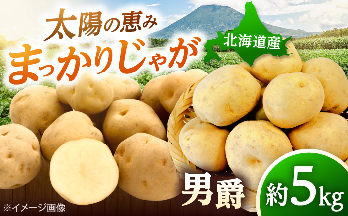 【2026年10月中旬以降順次発送】 じゃがいも 男爵（まっかりじゃが）5kg | じゃがいも ジャガイモ 男爵 野菜 北海道 産地直送 先行予約 | 道の駅 真狩フラワーセンター [BPAM016]