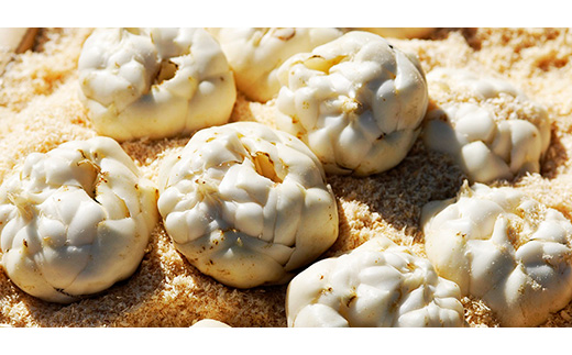 北海道真狩村産ゆり根【生産量・品質とも日本一！】【2025年産】【0112001】