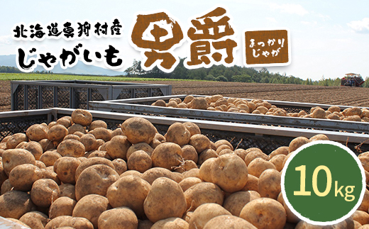 甘くてホクホク！太陽の光をたっぷりと浴びた　北海道真狩村産じゃがいも　男爵「まっかりじゃが」10kg【2025年産】【0114601】