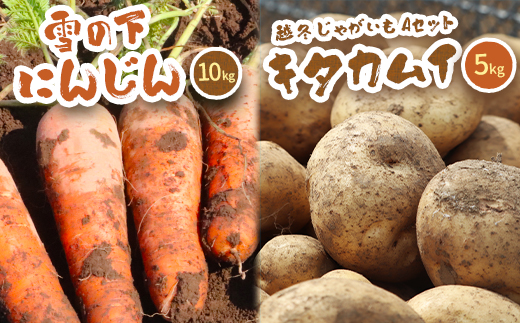 北海道真狩村産　雪の下にんじん約10kgと越冬じゃがいも約5kg Aセット(キタカムイ)  【2026年春お届け分】【0115301】