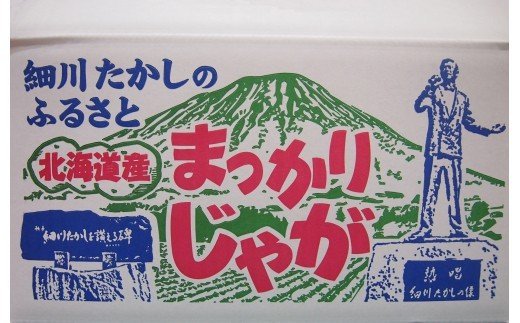 甘くてホクホク！太陽の光をたっぷりと浴びた　北海道真狩村産じゃがいも　キタカムイ「まっかりじゃが」10kg【2025年産】【0116601】
