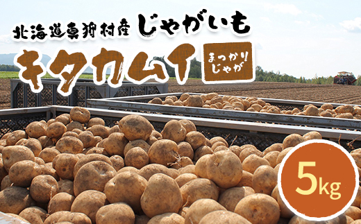 甘くてホクホク！太陽の光をたっぷりと浴びた　北海道真狩村産じゃがいも　キタカムイ「まっかりじゃが」5kg【2025年産】【0116701】