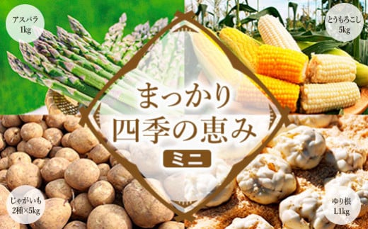 【2026年産】まっかり四季の恵み（ミニ）(アスパラ1kg、とうもろこし5kg、じゃがいも2種×5kg、ゆり根L1kg)【0117701】
