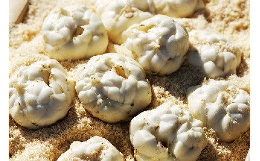 ã2026幎ç£ããŸã£ããåå£ã®æµã¿ïŒããïŒ(ã¢ã¹ãã©1kgããšããããã5kgãããããã2çš®Ã5kgãããæ ¹L1kg)ã0117701ã