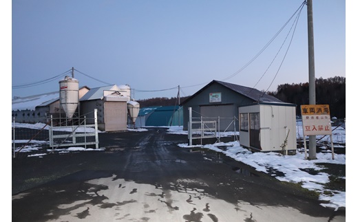 åæµ·éçç©æç£ããŒãè±ããèåãçŽ1kgÃïŒãã05110ã