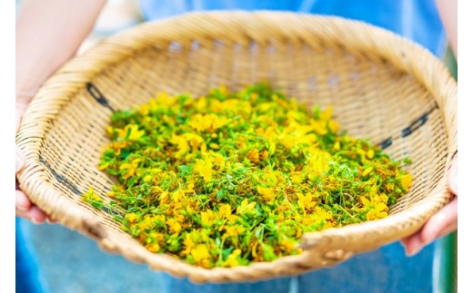 ã»ã³ããžã§ãŒã³ãº ãµããŒããªã€ã«ïŒãªã©ãã¯ã¹ïŒ 65mlã01129ã