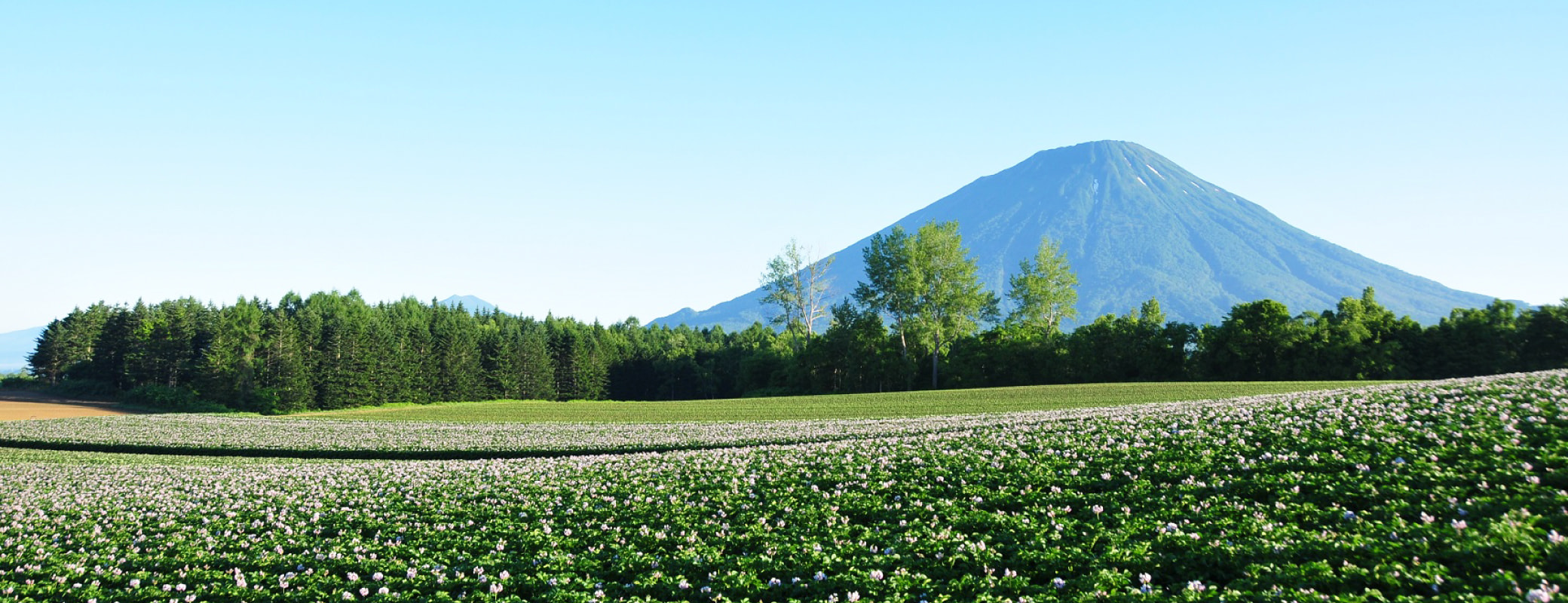 北海道留寿都村