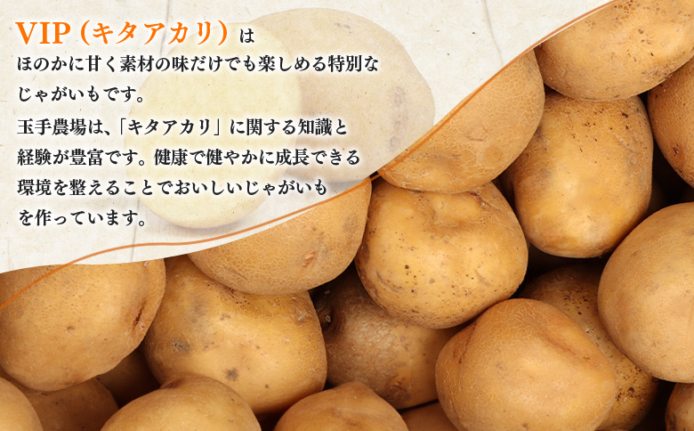 【9月～12月発送予定】（生産者直送）じゃがいも VIP キタアカリ 5ｋｇ いも おいも 芋 イモ ジャガイモ ポテト きたあかり オンライン 申請 ふるさと納税 北海道 留寿都 野菜 ホクホク 産地直送 新鮮 じゃがバター ポテトサラダ フライ 5キロ 留寿都村【1200201】