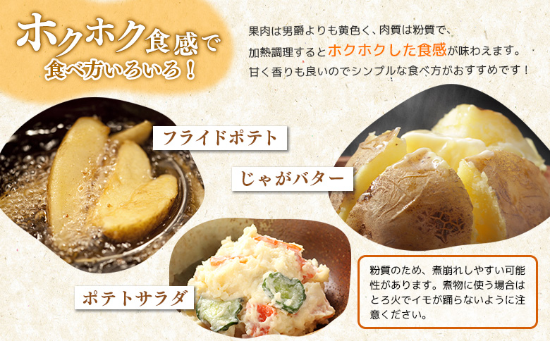 【9月～12月発送予定】（生産者直送）じゃがいも VIP キタアカリ 5ｋｇ いも おいも 芋 イモ ジャガイモ ポテト きたあかり オンライン 申請 ふるさと納税 北海道 留寿都 野菜 ホクホク 産地直送 新鮮 じゃがバター ポテトサラダ フライ 5キロ 留寿都村【1200201】