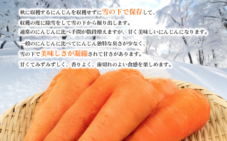 玉手農場 雪下にんじん 5kg 人参 にんじん ニンジン 越冬 オンライン 申請 ふるさと納税 北海道 留寿都 野菜 旬野菜 季節野菜 甘い みずみずしい 産地直送 新鮮 採れたて 先行予約 サラダ カレー 5キロ 留寿都村【1200801】