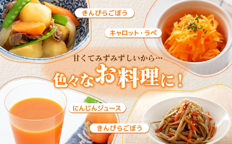 玉手農場 雪下にんじん 5kg 人参 にんじん ニンジン 越冬 オンライン 申請 ふるさと納税 北海道 留寿都 野菜 旬野菜 季節野菜 甘い みずみずしい 産地直送 新鮮 採れたて 先行予約 サラダ カレー 5キロ 留寿都村【1200801】