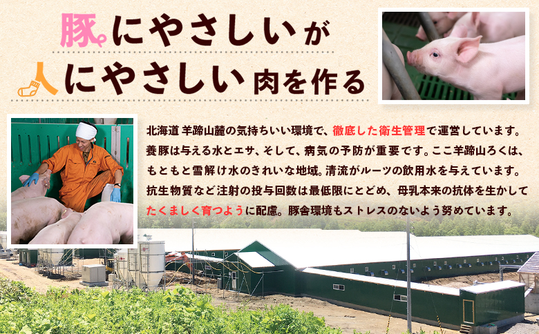ルスツ羊蹄ぶた 超徳用 こま切れ肉 200g 16パック 3.2kg オンライン 申請 ふるさと納税 北海道 留寿都 こま切れ 豚肉 豚 ブランド豚 肉 お肉 ポーク 炒め物 生姜焼き 小分け 便利 冷凍 国産 お取り寄せ 留寿都村【2201803】