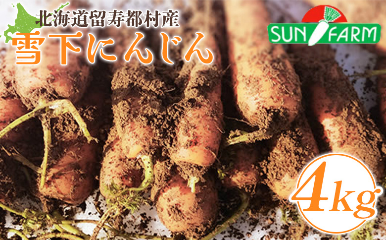 雪下にんじん 4kg 人参 にんじん ニンジン 越冬 オンライン 申請 ふるさと納税 北海道 留寿都 野菜 春 旬野菜 季節野菜 甘い フルーツ みずみずしい 産地直送 新鮮 採れたて サラダ カレー おかず 4キロ 留寿都村【2400401】