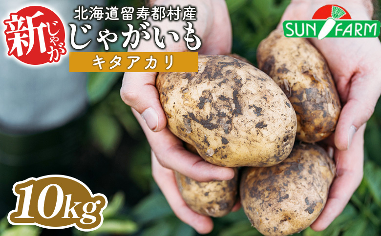 新じゃがいも キタアカリ 10kg いも おいも 芋 イモ ジャガイモ ポテト きたあかり オンライン 申請 ふるさと納税 北海道 留寿都 野菜 根菜 ホクホク 産地直送 新鮮 採れたて ポテトサラダ コロッケ スープ 10キロ 留寿都村【2401301】