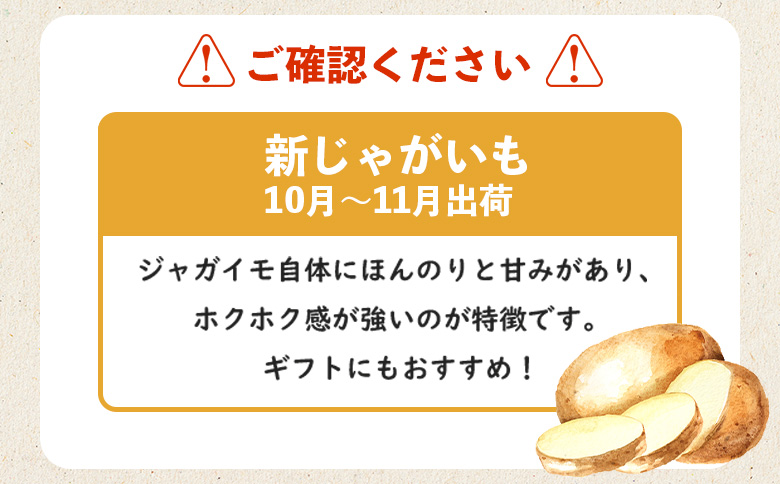 新じゃがいも キタアカリ 10kg いも おいも 芋 イモ ジャガイモ ポテト きたあかり オンライン 申請 ふるさと納税 北海道 留寿都 野菜 根菜 ホクホク 産地直送 新鮮 採れたて ポテトサラダ コロッケ スープ 10キロ 留寿都村【2401301】