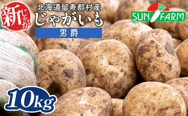 新じゃがいも 男爵 10kg いも おいも 芋 イモ ジャガイモ ポテト だんしゃく オンライン 申請 ふるさと納税 北海道 留寿都 野菜 根菜 産地直送 新鮮 採れたて ポテトサラダ コロッケ マッシュポテト 10キロ 留寿都村【2401501】