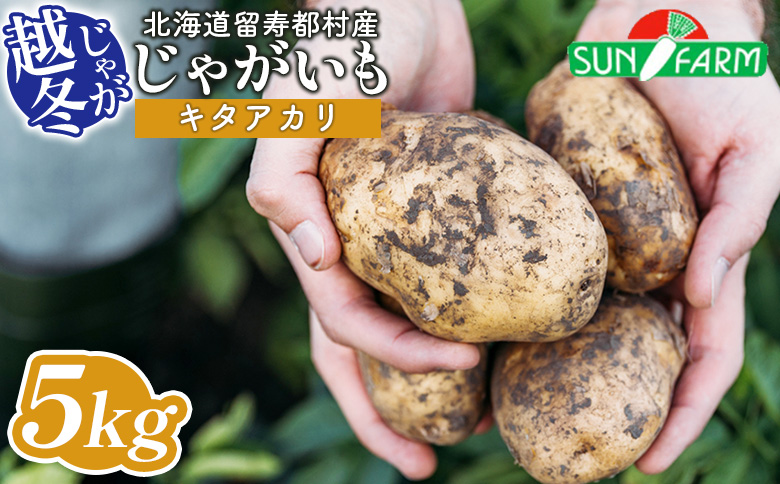 雜雁ャ縺倥c縺後>繧 繧ュ繧ソ繧「繧ォ繝ェ 5kg 縺繧 縺翫>繧 闃 繧、繝「 繧ク繝」繧ャ繧、繝「 繝昴ユ繝 縺阪◆縺ゅ°繧 繧ェ繝ウ繝ゥ繧、繝ウ 逕ウ隲 縺オ繧九&縺ィ邏咲ィ 蛹玲オキ驕 逡吝ッソ驛ス 驥手除 譬ケ闖 繝帙け繝帙け 逕」蝨ー逶エ騾 譁ー魄ョ 謗。繧後◆縺ヲ 繝昴ユ繝医し繝ゥ繝 繧ウ繝ュ繝繧ア 繧ケ繝シ繝 5繧ュ繝ュ 逡吝ッソ驛ス譚代24020縲