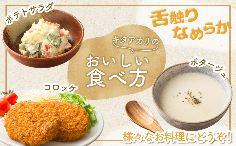 雜雁ャ縺倥c縺後>繧 繧ュ繧ソ繧「繧ォ繝ェ 5kg 縺繧 縺翫>繧 闃 繧、繝「 繧ク繝」繧ャ繧、繝「 繝昴ユ繝 縺阪◆縺ゅ°繧 繧ェ繝ウ繝ゥ繧、繝ウ 逕ウ隲 縺オ繧九&縺ィ邏咲ィ 蛹玲オキ驕 逡吝ッソ驛ス 驥手除 譬ケ闖 繝帙け繝帙け 逕」蝨ー逶エ騾 譁ー魄ョ 謗。繧後◆縺ヲ 繝昴ユ繝医し繝ゥ繝 繧ウ繝ュ繝繧ア 繧ケ繝シ繝 5繧ュ繝ュ 逡吝ッソ驛ス譚代24020縲