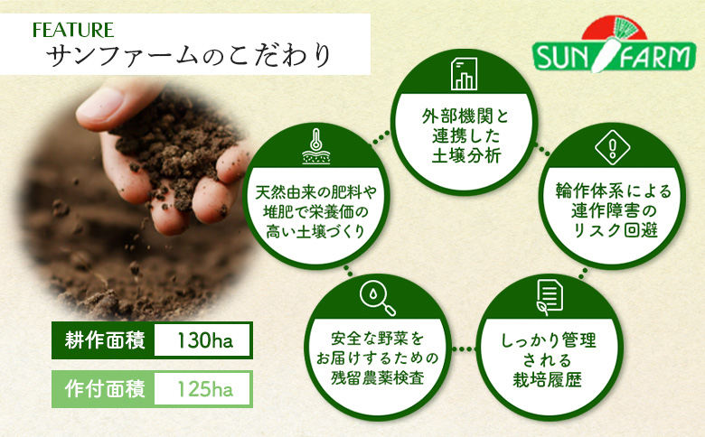 【先行予約】 グリーンアスパラ MLサイズ 1kg オンライン 申請 ふるさと納税 北海道 留寿都 アスパラ アスパラガス 野菜 春 旬野菜 季節野菜 産地直送 新鮮 採れたて サラダ おかず グラタン 肉巻き 1キロ 留寿都村【24001】
