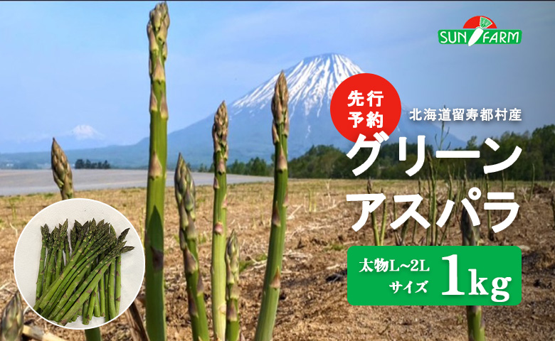 【先行予約】グリーンアスパラ 太物 L～2Lサイズ 1kg オンライン 申請 ふるさと納税 北海道 留寿都 アスパラ アスパラガス 野菜 春 旬野菜 季節野菜 産地直送 新鮮 採れたて サラダ おかず グラタン 肉巻き 1キロ 留寿都村【24002】