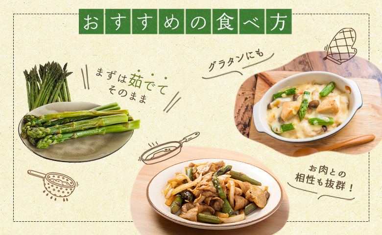 【先行予約】 ホワイトアスパラ Mサイズ以上 1kg オンライン 申請 ふるさと納税 北海道 留寿都 アスパラ アスパラガス 野菜 春 旬野菜 季節野菜 産地直送 新鮮 採れたて サラダ おかず グラタン 肉巻き 1キロ 留寿都村【24003】