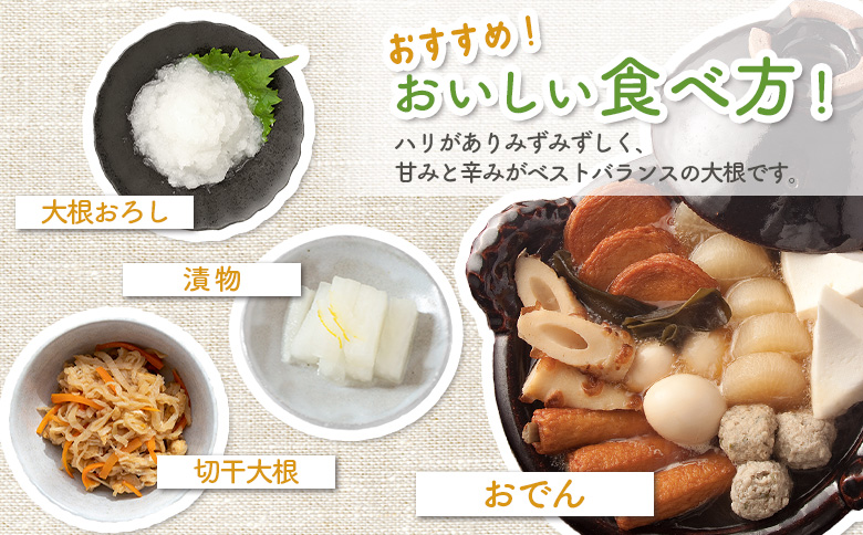 大根 10kg だいこん ダイコン オンライン 申請 ふるさと納税 北海道 留寿都 野菜 根菜 産地直送 新鮮 採れたて 大根おろし サラダ 切干大根 漬物 汁物 ビタミン 10キロ 留寿都村【24009】
