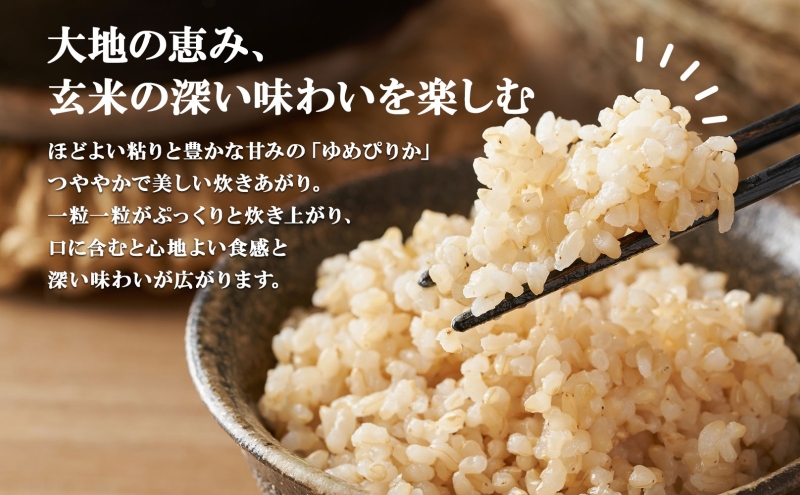 定期便 3ヵ月連続3回 北海道産 ゆめぴりか 玄米 3kg×2袋 計6kg 小分け 米 特A 国産 ごはん グルメ 食物繊維 ヘルシー お取り寄せ 備蓄 長期保存 プレゼント 贈答 ギフト ようてい農業協同組合 ホクレン 送料無料 北海道 倶知安町 3ヶ月 