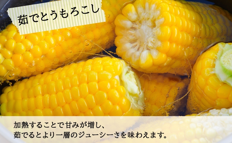 北海道 スイートコーン 味来 約10kg 2Lサイズ 計26本 とうもろこし とうきび コーン 新鮮 採れたて 産直 JAようてい 送料無料 北海道 倶知安町   10キロ 