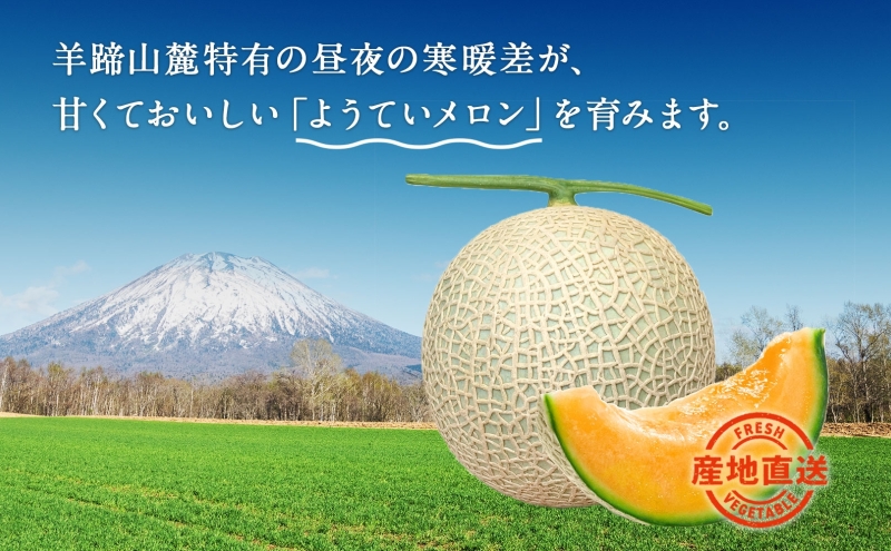 【 2025年発送 】先行予約 北海道 赤肉メロン 約1.6kg 2玉 メロン 赤肉 果物 フルーツ 甘い 完熟 スイーツ デザート 産直 国産 贈答品 お祝い ギフト羊蹄山 JAようてい