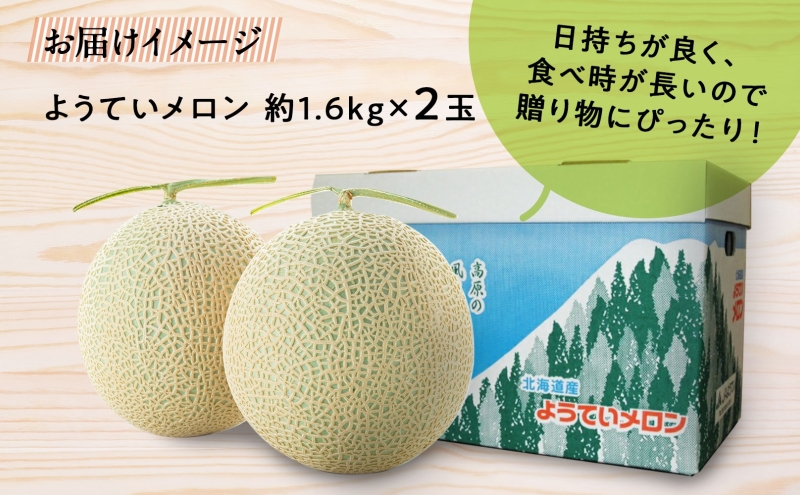 【 2025年発送 】先行予約 北海道 赤肉メロン 約1.6kg 2玉 メロン 赤肉 果物 フルーツ 甘い 完熟 スイーツ デザート 産直 国産 贈答品 お祝い ギフト羊蹄山 JAようてい