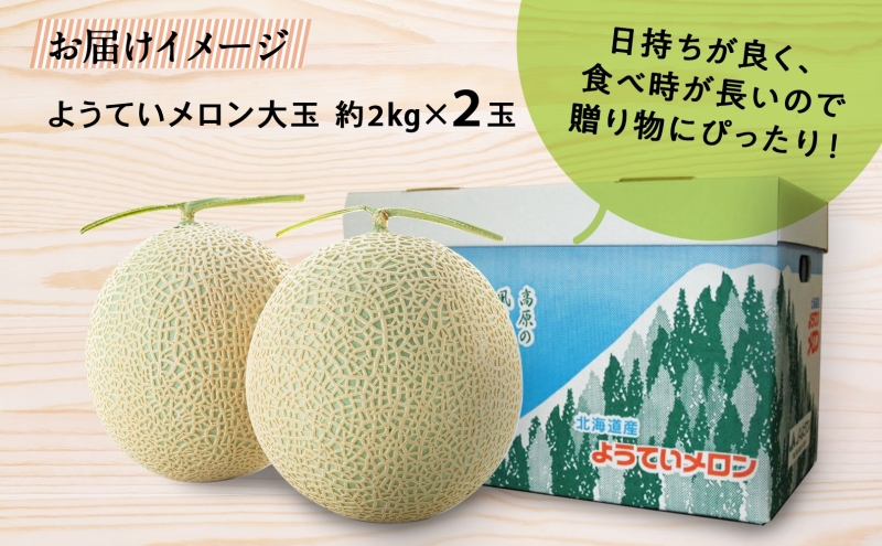 北海道 赤肉メロン 大玉 約2kg 2玉 メロン 赤肉 果物 フルーツ 甘い 完熟 スイーツ デザート 産直 国産 贈答品 お祝いギフト羊蹄山 JAようてい 送料無料 北海道 倶知安町 