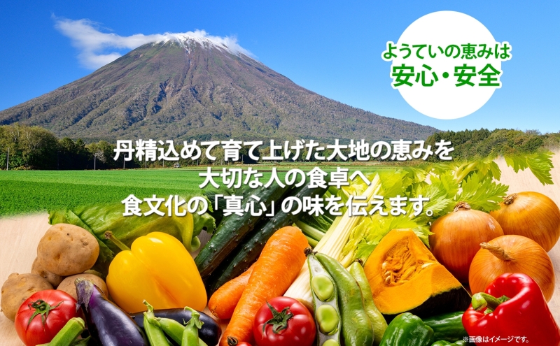 【 2025年発送 】先行予約 北海道 赤肉メロン 約1.6kg 2玉 メロン 赤肉 果物 フルーツ 甘い 完熟 スイーツ デザート 産直 国産 贈答品 お祝い ギフト羊蹄山 JAようてい