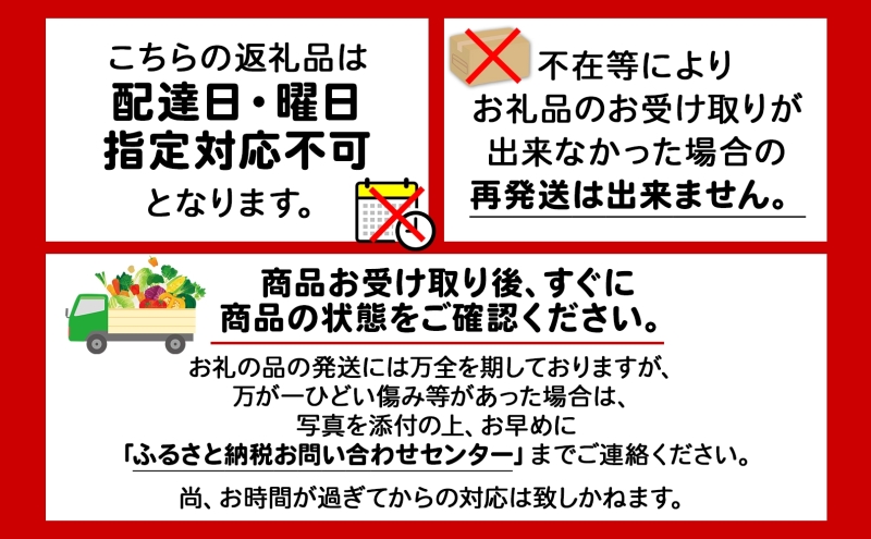 北海道 赤肉メロン 大玉 約2kg 2玉 メロン 赤肉 果物 フルーツ 甘い 完熟 スイーツ デザート 産直 国産 贈答品 お祝いギフト羊蹄山 JAようてい 送料無料 北海道 倶知安町 