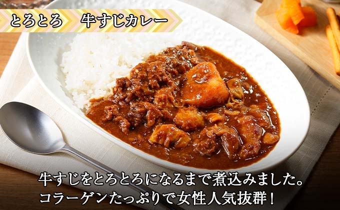 無地熨斗 倶知安 牛すじカレー 中辛 計10個 北海道 レトルト食品 牛すじ 野菜 じゃがいも お取り寄せ グルメ スパイス おかず お肉 牛肉 加工食品 レトルト 