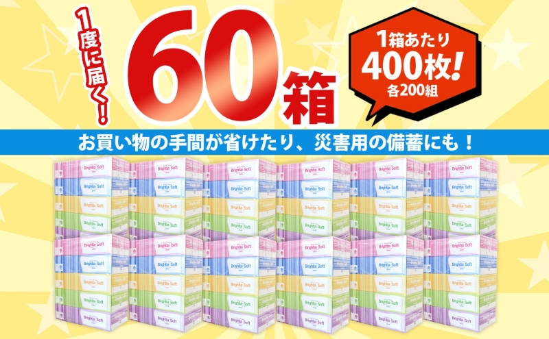 ブライティア ソフト ボックスティッシュ 200組 400枚 60箱 日本製 まとめ買い ティッシュ リサイクル 長持 防災 常備品 日用雑貨 消耗品 生活必需品 備蓄 ペーパー 紙 北海道 倶知安町 日用品 