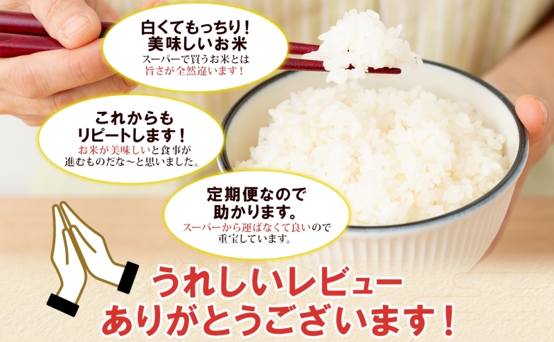 定期便 12ヶ月連続12回 北海道産 ゆめぴりか 精米 5kg 米 特A 白米 お取り寄せ ごはん 道産米 ブランド米 1年 お米 ご飯 おまとめ買い ホクレン 北海道 倶知安町 【定期便・お米・ゆめぴりか・精米】