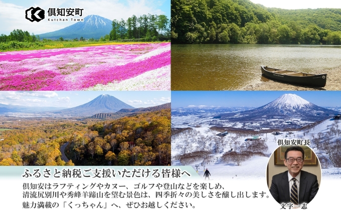 無地熨斗 北海道 倶知安 牛すじカレー 200g 20個 中辛 レトルト食品 加工品 時短 牛すじ 野菜 じゃがいも お取り寄せ グルメ 【お肉・牛肉・加工食品】 レトルトカレー 