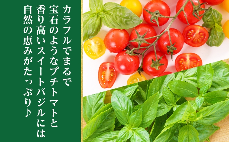 北海道 有機栽培 ミニトマト＆スイートバジル 約1kg 詰め合わせ プチトマト トマト バジル オーガニック 有機野菜 JAS 産直 産地直送 ニセコグリーンファーム 有機ミニトマト 