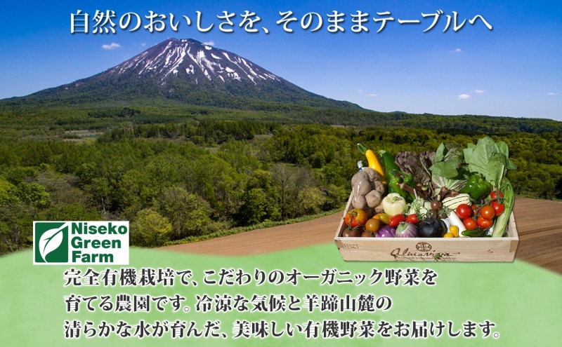 北海道 有機栽培 ミニトマト＆スイートバジル 約1kg 詰め合わせ プチトマト トマト バジル オーガニック 有機野菜 JAS 産直 産地直送 ニセコグリーンファーム 有機ミニトマト 