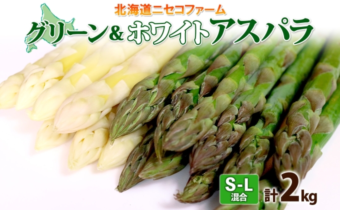 当店限定販売】 グリーンアスパラガス 3kg (北海道産) ２Ｌ混） （Ｌ