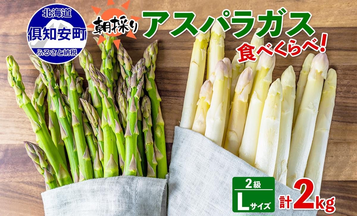 アスパラガス 北海道 グリーン AL ホワイト 2級品大・中 各1kg 食べ比べ セット 計2kg 春 限定 旬 朝採り 新鮮 野菜 アスパラ ギフト gift 産地直送 産直 お取り寄せ 詰め合わせ 送料無料			