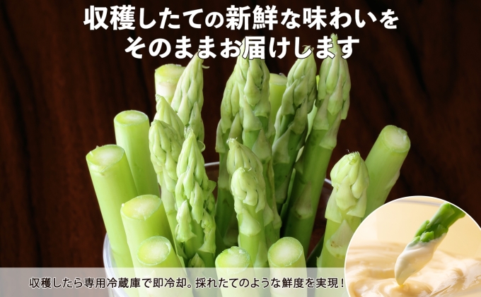 アスパラガス 北海道 グリーン 2kg セット Lサイズ 春 限定 旬 朝採り 新鮮 野菜 アスパラ ギフト gift 産地直送 産直 お取り寄せ 詰め合わせ 送料無料