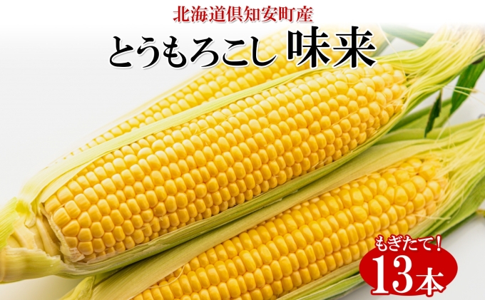 北海道産 朝もぎ イエロー とうもろこし 味来 みらい 2Lサイズ 13本 約5kg 大きめ 夏野菜 とうきび 新鮮 野菜 トウモロコシ ギフト 産地直送 コーン 産直 グリーンアースファーム スイートコーン 